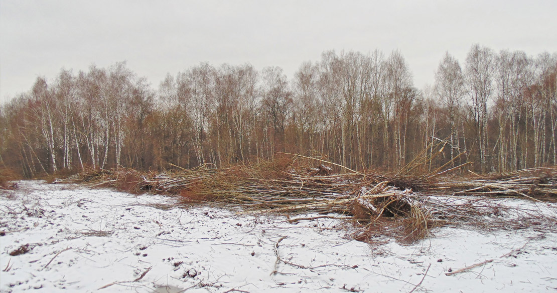 Уборка деревьев (зима 2018)